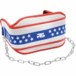 RS TN3 Dipping Weightlifting Belt with Chain